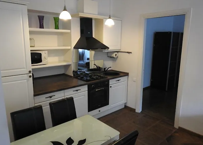 Laisves Aleja 公寓 考纳斯