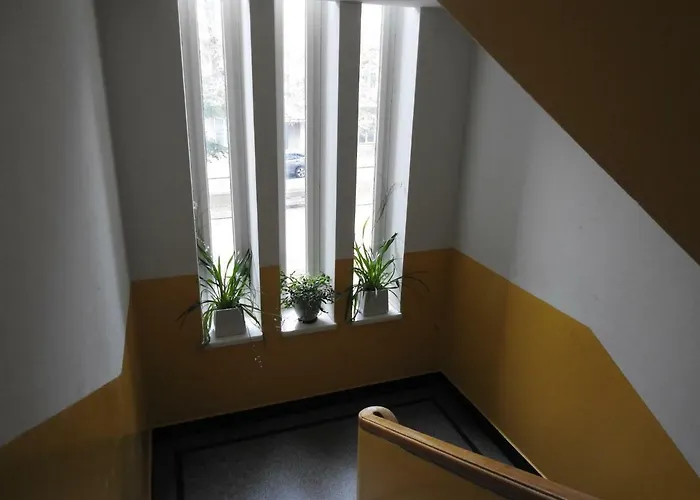 Laisves Aleja 考纳斯